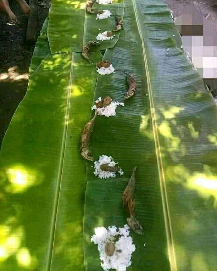 11 Momen lucu makan besar ini nyelenehnya bikin heran