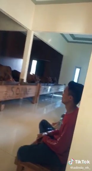 Viral kandang ternak sapi ini mewah banget, lantainya keramik