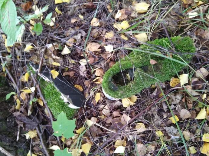 15 Potret tanaman muncul di tempat nggak biasa, ada di atas jok