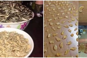 11 Potret lucu buah dari kesabaran ini kreatifnya bikin melongo