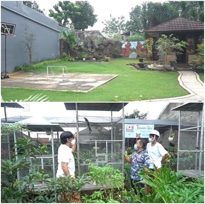 Cara 7 komedian desain halaman belakang rumah, ada 'waterboom'