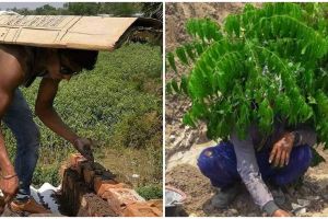 11 Aksi kocak kuli bangunan ogah kepanasan ini bikin tepuk jidat