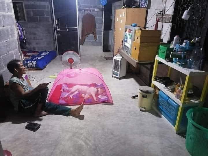 11 Tingkah lucu bapak-bapak kalau di rumah sendirian, nyeleneh abis