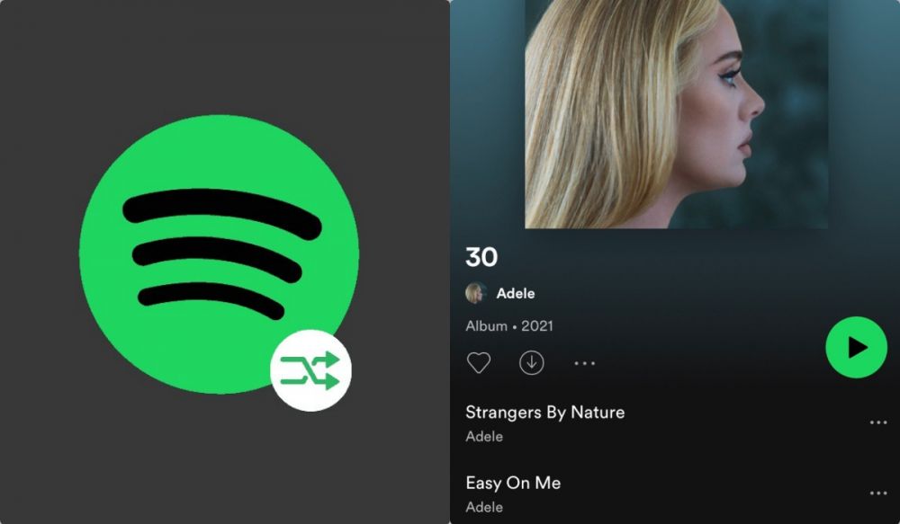 Penuhi permintaan Adele, Spotify hapus tombol Shuffle