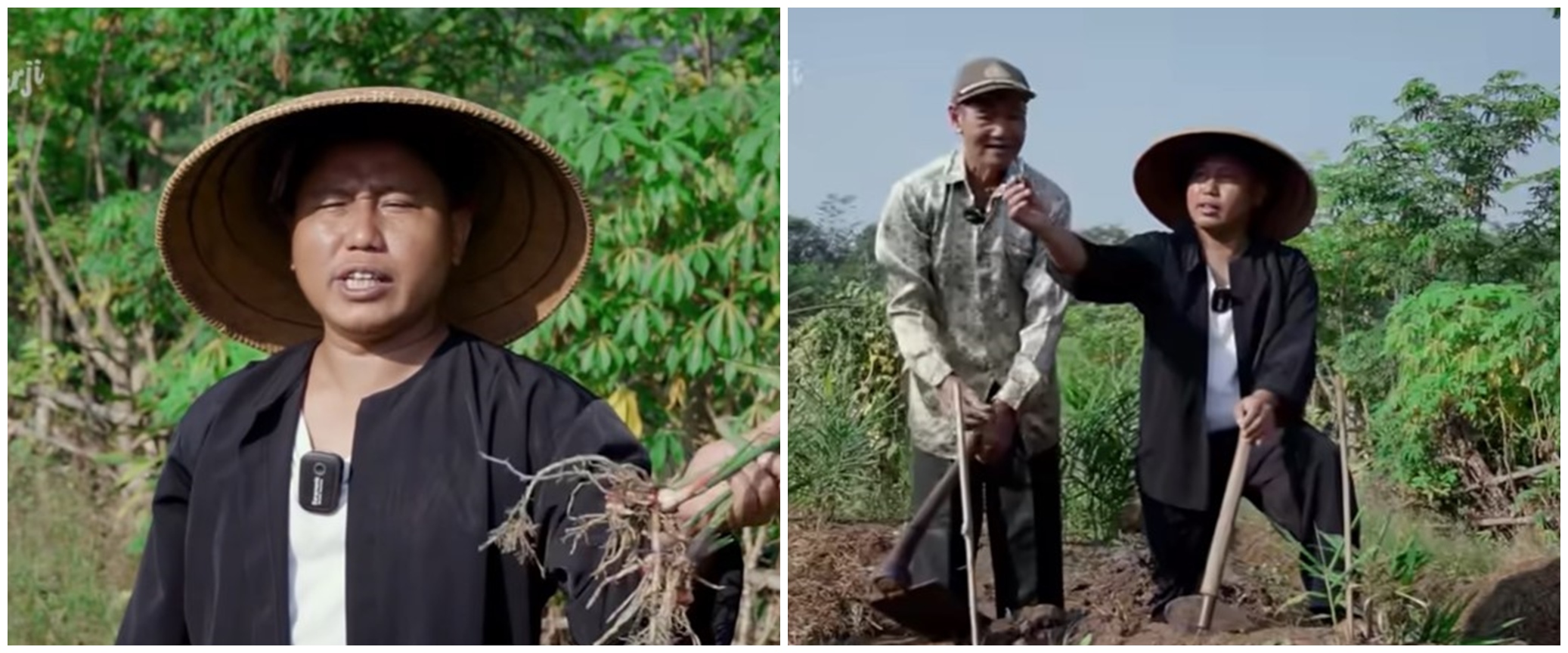 Kisah Narji jatuh cinta dengan dunia tani, ternyata berawal dari iseng