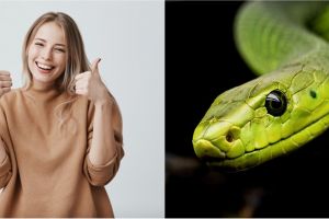 15 Arti mimpi ular menurut Islam dan para ahli, ada makna positifnya