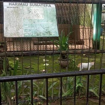 11 Penampakan lucu hewan salah tempat ini bikin mikir keras