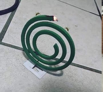 11 Penampakan lucu hewan salah tempat ini bikin mikir keras