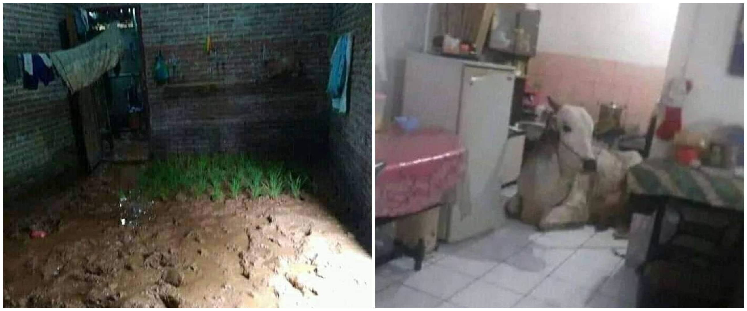 11 Potret lucu manfaatin ruangan ini bikin heran banget