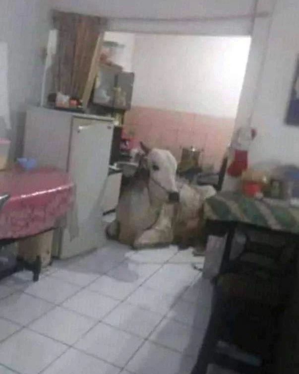 11 Potret lucu manfaatin ruangan ini bikin heran banget