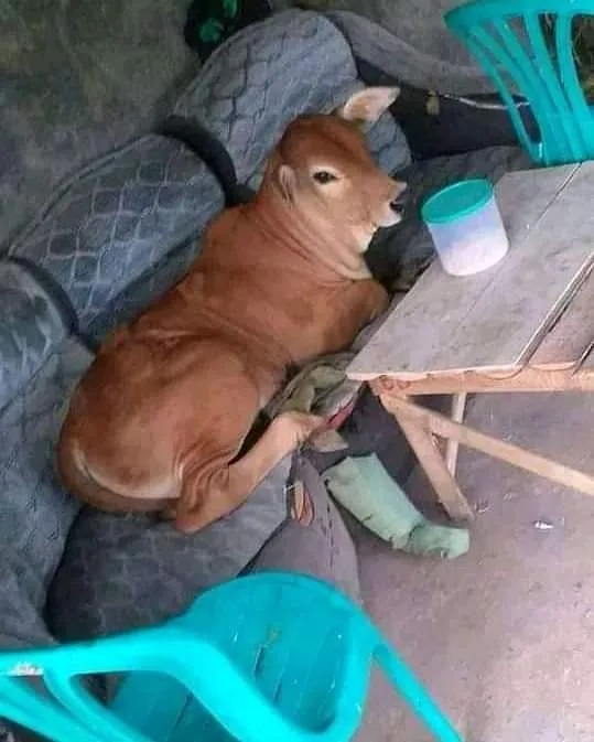 11 Potret lucu manfaatin ruangan ini bikin heran banget