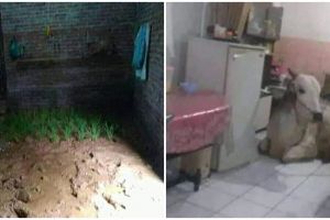 11 Potret lucu manfaatin ruangan ini bikin heran banget