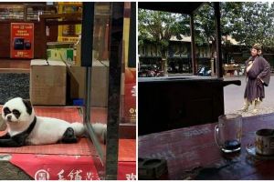 11 Momen lucu tampak di depan toko ini bikin lihat dua kali