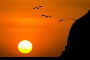 101 Motto hidup tawakal kepada Allah SWT, bikin hati tenang