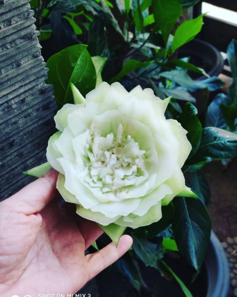 13 Potret carving buah dan sayur ala Devi Permatasari, detailnya indah