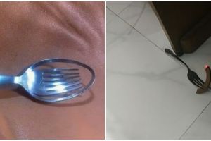 11 Penampakan lucu benda multifungsi ini bikin geleng-geleng heran