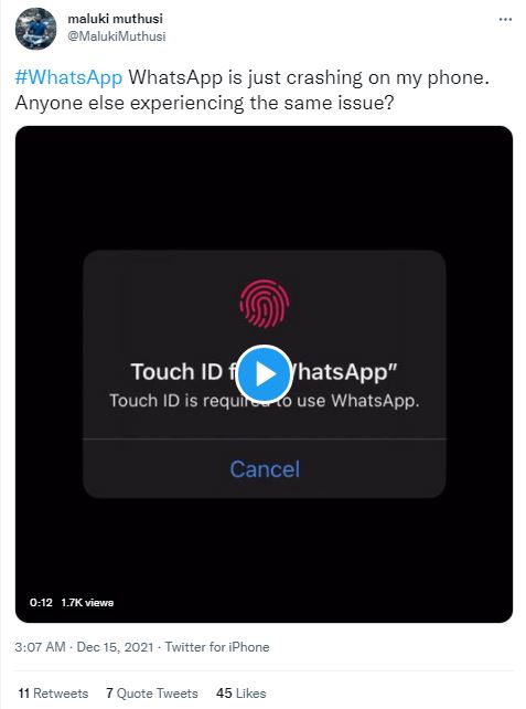 3 Fakta bug WhatsApp iOS 15 Desember 2021, picu crash pada aplikasi
