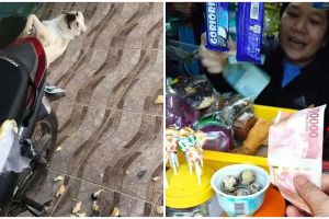 13 Momen lucu pengen marah tapi nggak bisa, bikin jengkel sendiri