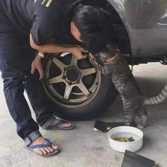 13 Momen lucu kerja sama tapi ribet sendiri, bikin heran lihatnya