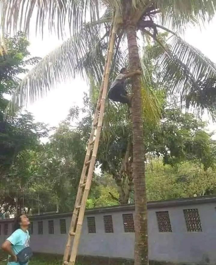 13 Momen lucu kerja sama tapi ribet sendiri, bikin heran lihatnya