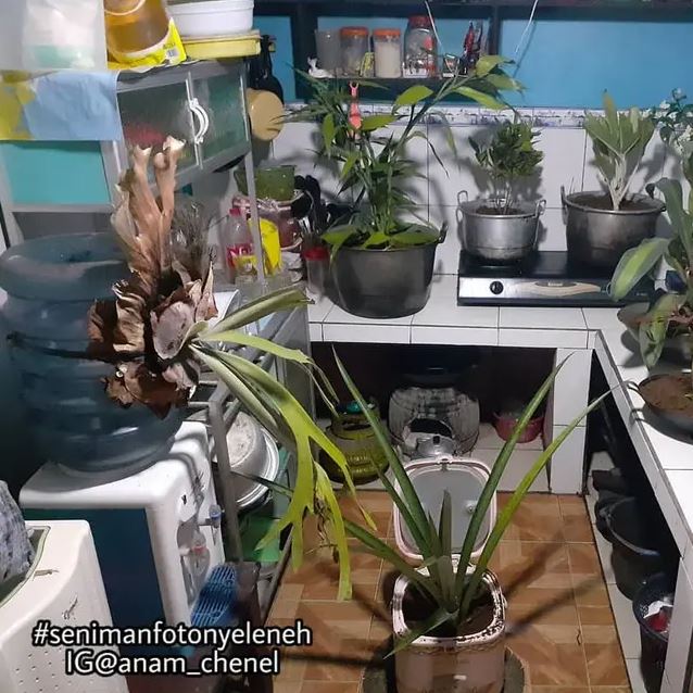 15 Potret lucu dapur warga +62 ini desainnya nggak ada tanding