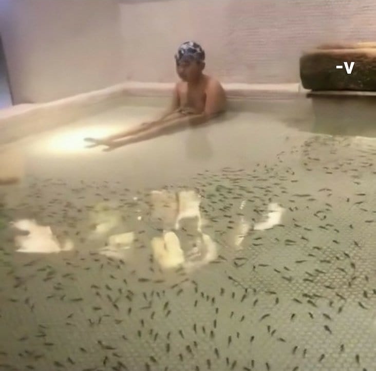 11 Momen tak terduga sama hewan peliharaan, ada yang bikin kaget