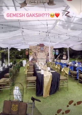 9 Momen gender reveal Nanda Arsyinta bertema Harry Potter