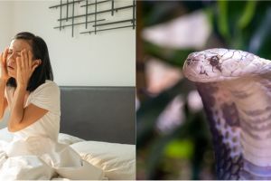 11 Arti mimpi membunuh ular, sebagai tanda kewaspadaan