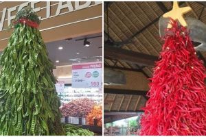 11 Potret lucu kreasi pohon Natal ini idenya ada-ada aja