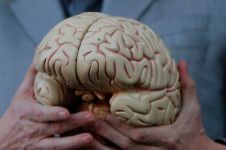 8 Mitos tentang otak manusia yang dipercaya selama bertahun-tahun
