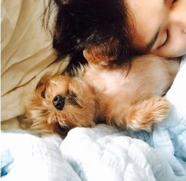 11 Potret lawas Choi Woo-shik, wajah polosnya bikin gemas