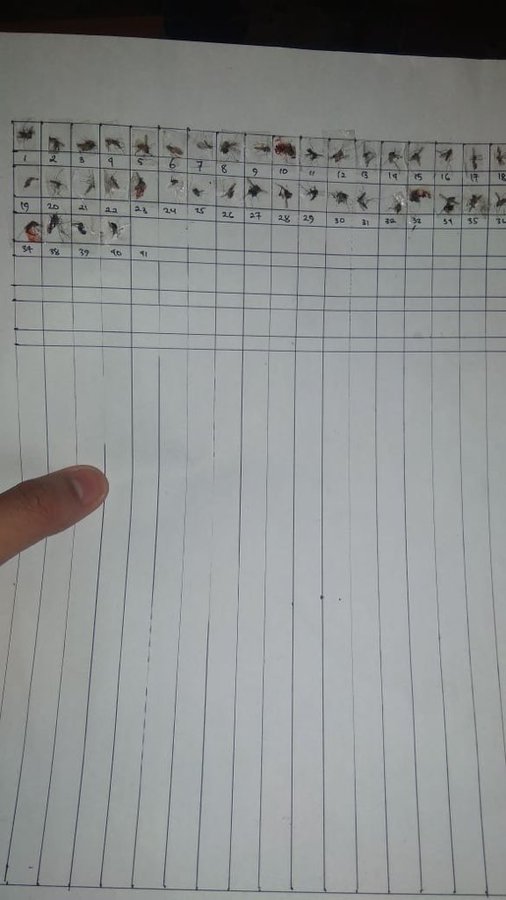 11 Aksi nyeleneh orang usir nyamuk ini bikin geleng kepala