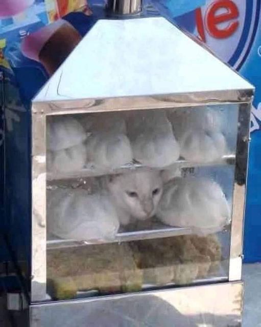 11 Penampakan lucu isi gerobak ini bikin kamu lihat dua kali
