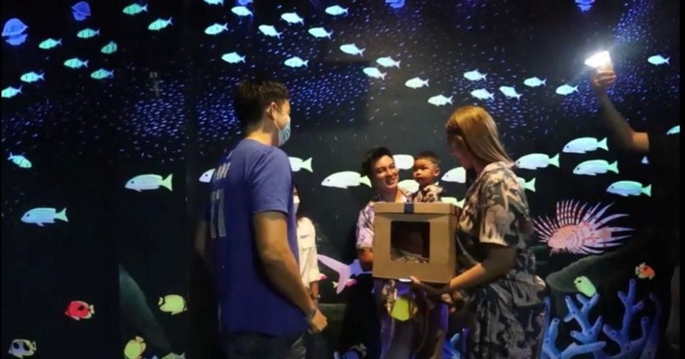 15 Momen Baim Wong rayakan ulang tahun Kiano, sewa akuarium bawah laut