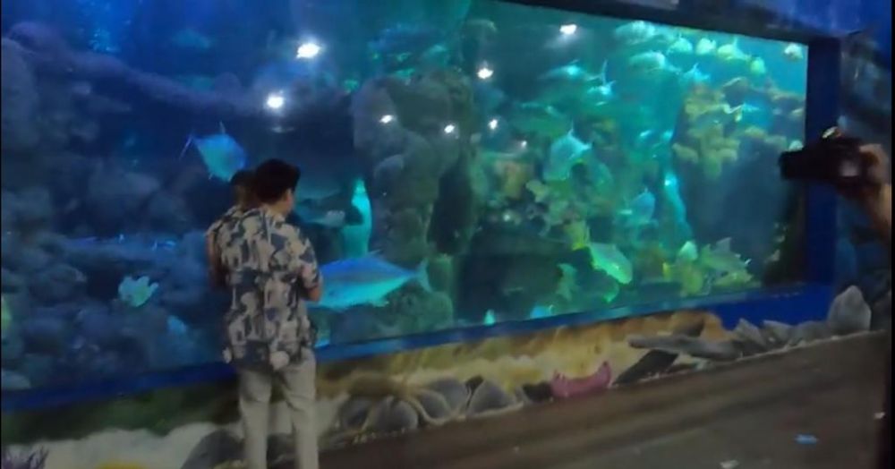 15 Momen Baim Wong rayakan ulang tahun Kiano, sewa akuarium bawah laut