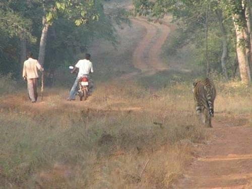 13 Potret lucu kendaraan salah jalur ini bikin heran lihatnya