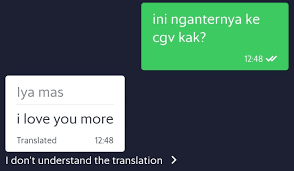 13 Chat lucu akibat salah terjemahan, endingnya bikin kesal