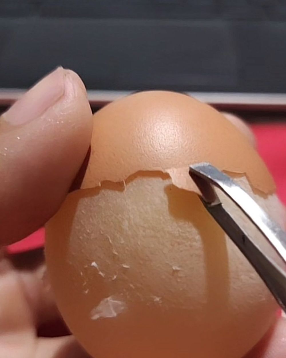 11 Momen lucu orang asal masak ini bikin yang lihat tepuk jidat