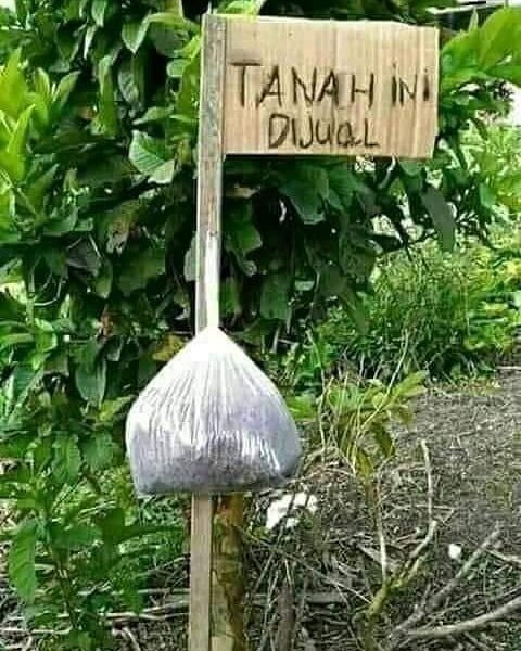 11 Pengumuman lucu orang jual tanah ini auto bikin senyum lebar