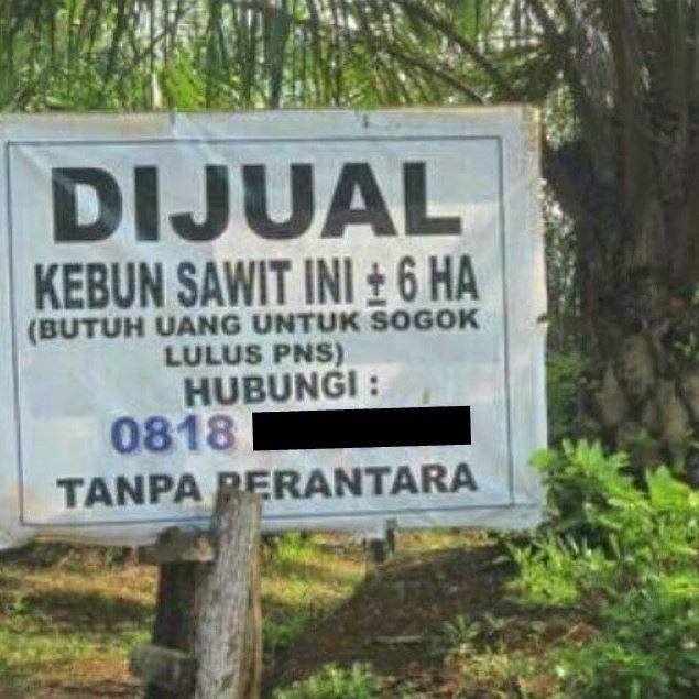 11 Pengumuman lucu orang jual tanah ini auto bikin senyum lebar