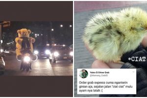 11 Orderan tidak biasa dari pelanggan ojek online, ada bawa anak ayam