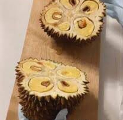 11 Potret lucu orang nggak tahu cara potong buah, hasilnya kocak