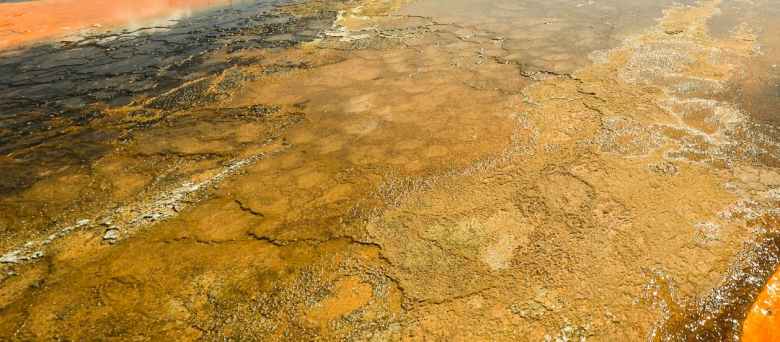 Arti mimpi tentang air 2022 brilio.net