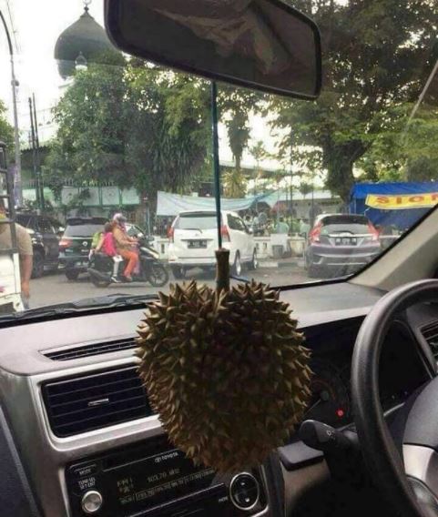 13 Potret aksesori tambahan di mobil ini bentuknya bikin ngakak