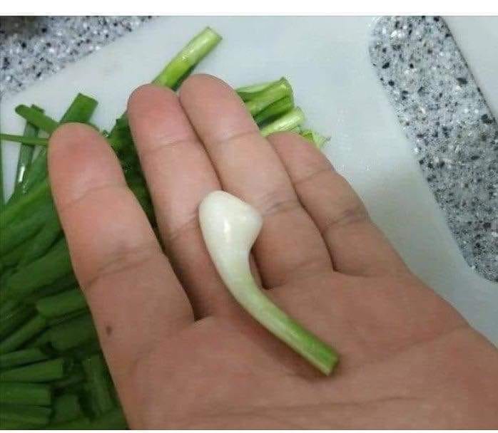 11 Penampakan bahan masak ini nyeleneh banget, bikin heran lihatnya