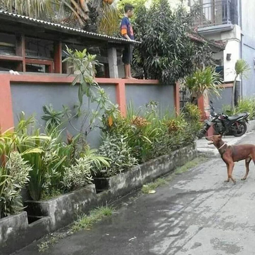 17 Momen menegangkan pas jalan-jalan, kamu pasti pernah mengalami