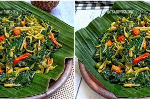 Resep tumis daun dan bunga pepaya super lezat,  menggugah selera