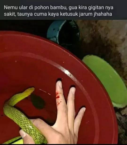 Jangan ditiru, 13 potret orang terlalu nekat aksinya bikin gigit jari