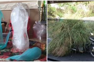 Jangan ditiru, 13 potret orang terlalu nekat aksinya bikin gigit jari