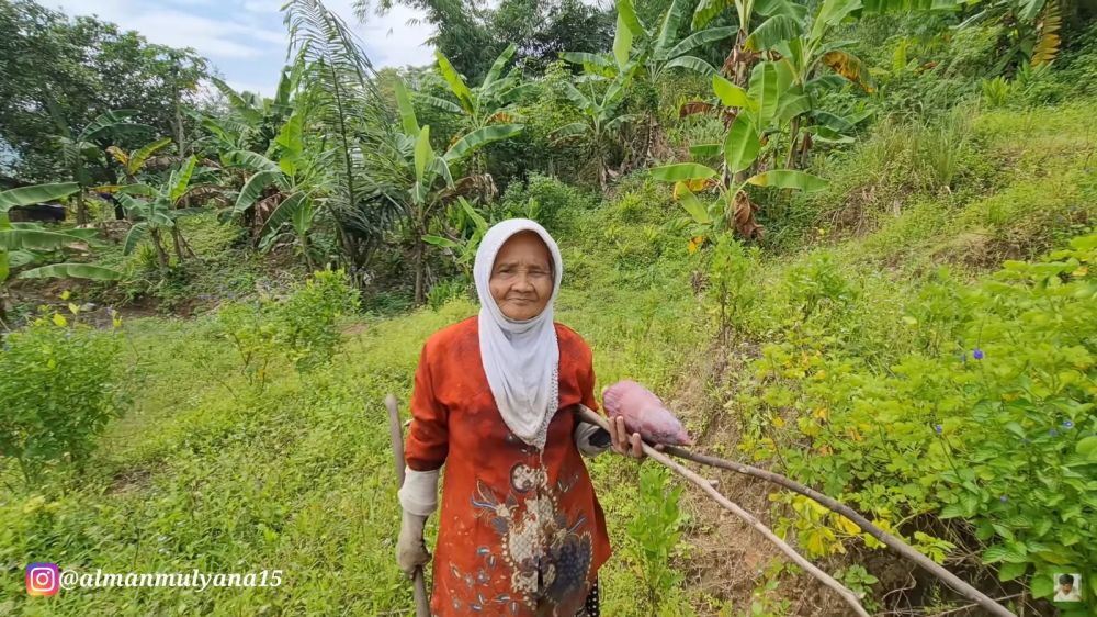Kakek kaya tinggal di tengah hutan, ini 9 potret rumah sederhananya